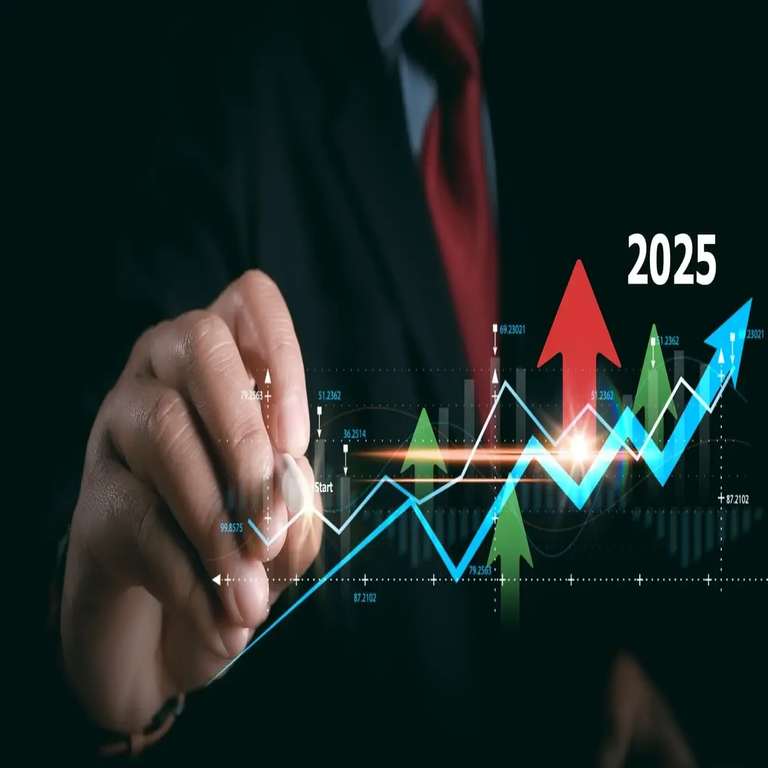 Resilience in Adversity: The Indian Stock Market's 2025 Journey