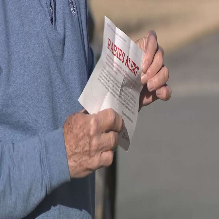 Understanding the Health Risks of Coyote Encounters in Urban Areas