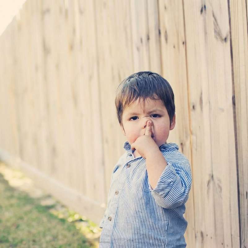 Nasal Microbiome Research Highlights the Brain-Nose Connection in Public Health