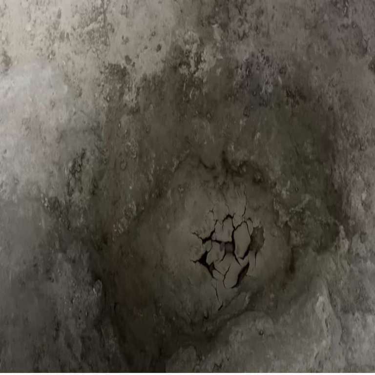 Ancient Footprints and the Dawn of Fire: Key Scientific Discoveries of 2025