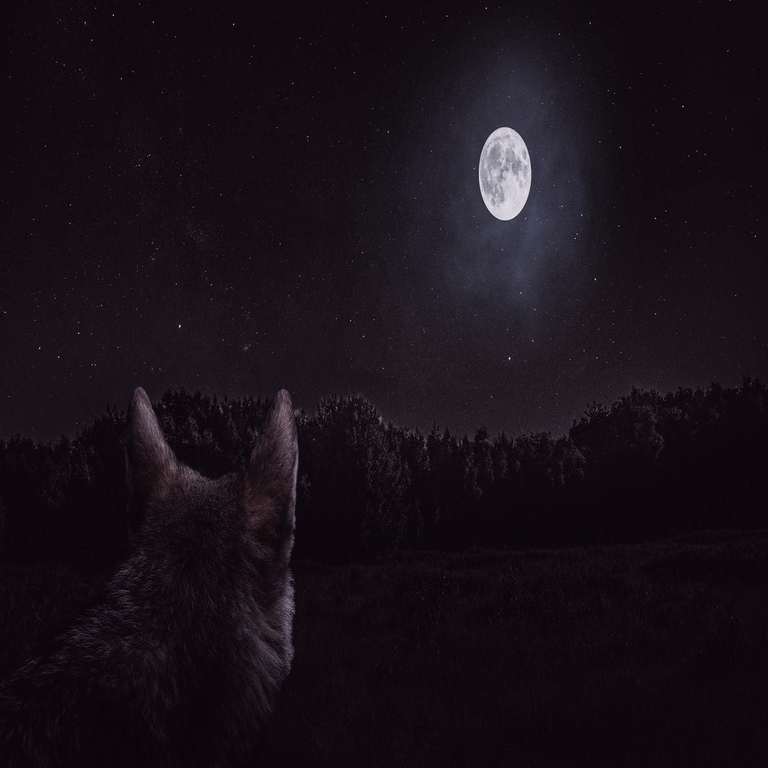 Understanding the Wolf Moon: Insights into the Supermoon Phenomenon