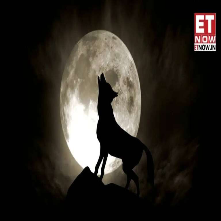 Understanding the Wolf Supermoon: A Celestial Event Explained
