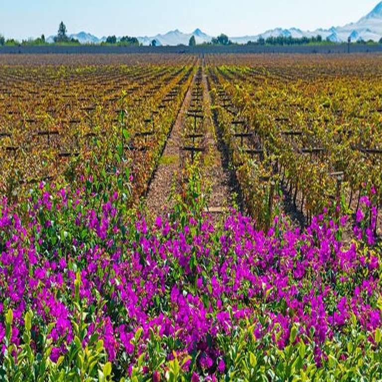 The Rise of Community-Based Tourism in Climate-Impacted Regions