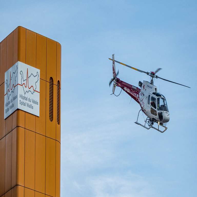 Crisis in Switzerland: The Overwhelmed Healthcare System and Its Regional Implications